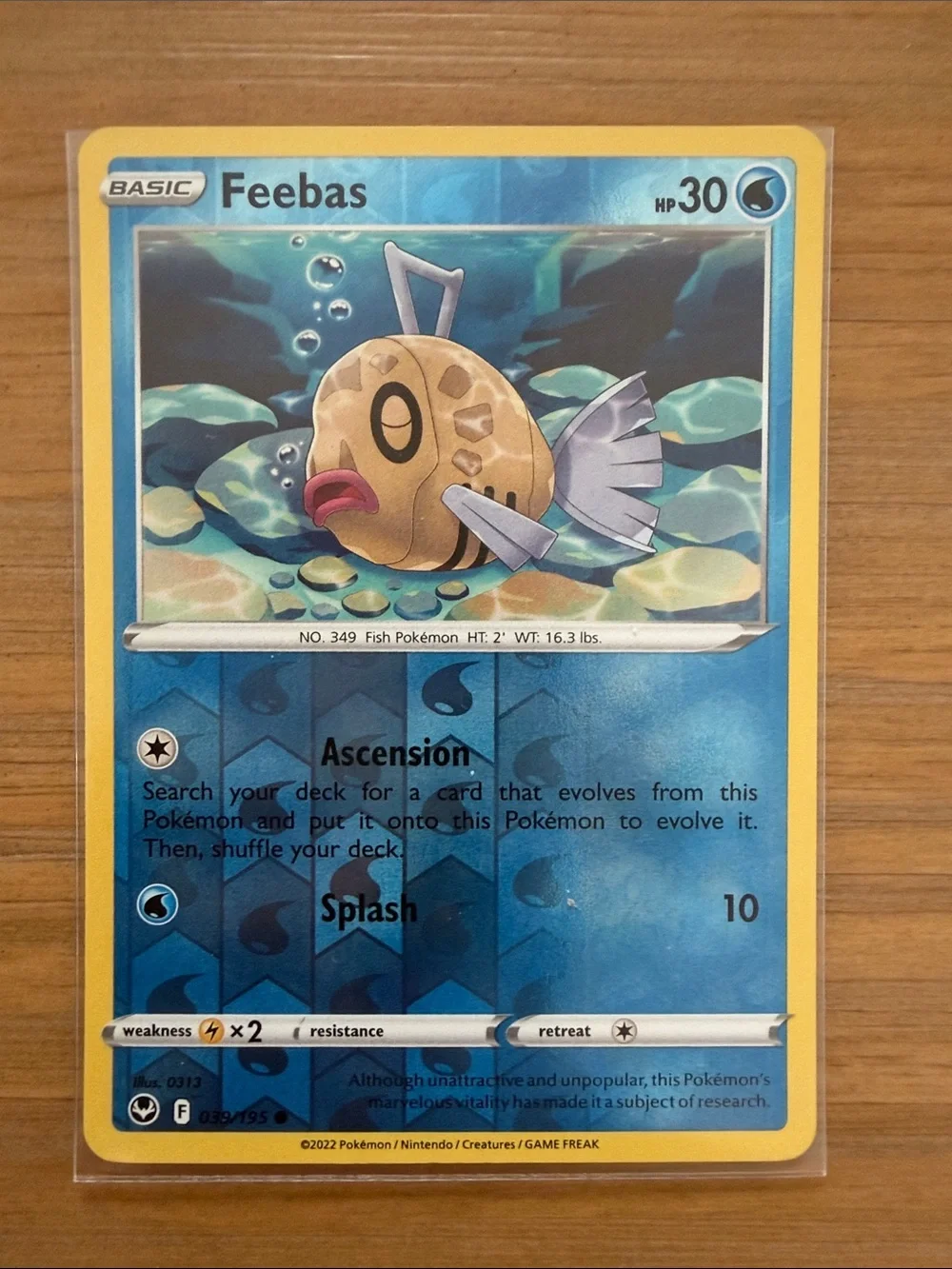 Feebas & Milotic Evolution Lot | 5 Pokémon Cards | Reverse Holo ✨5/$25✨